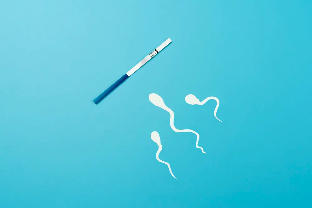 pregnancy test
