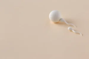 sperm cell